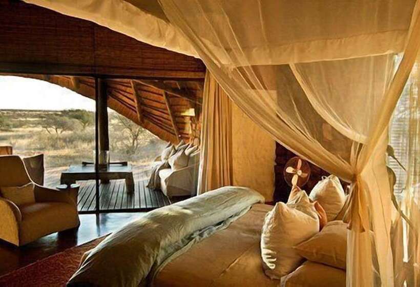 酒店 The Motse   Tswalu Kalahari Luxury Private Game Reserve