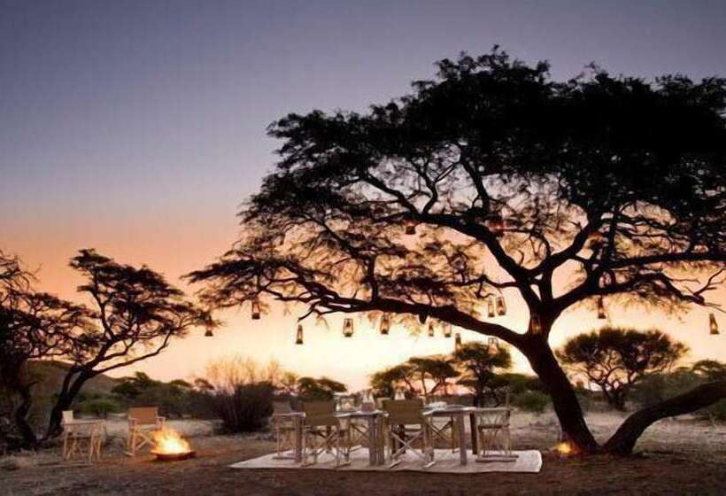 酒店 The Motse   Tswalu Kalahari Luxury Private Game Reserve
