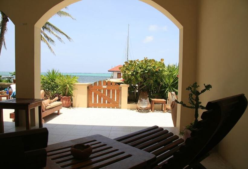 בית מלון כפרי The Palms Oceanfront Suites