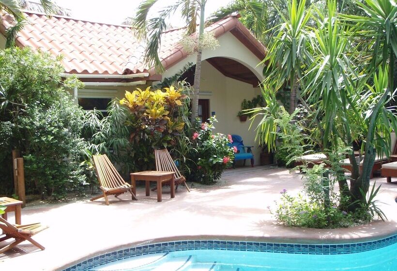 בית מלון כפרי The Palms Oceanfront Suites