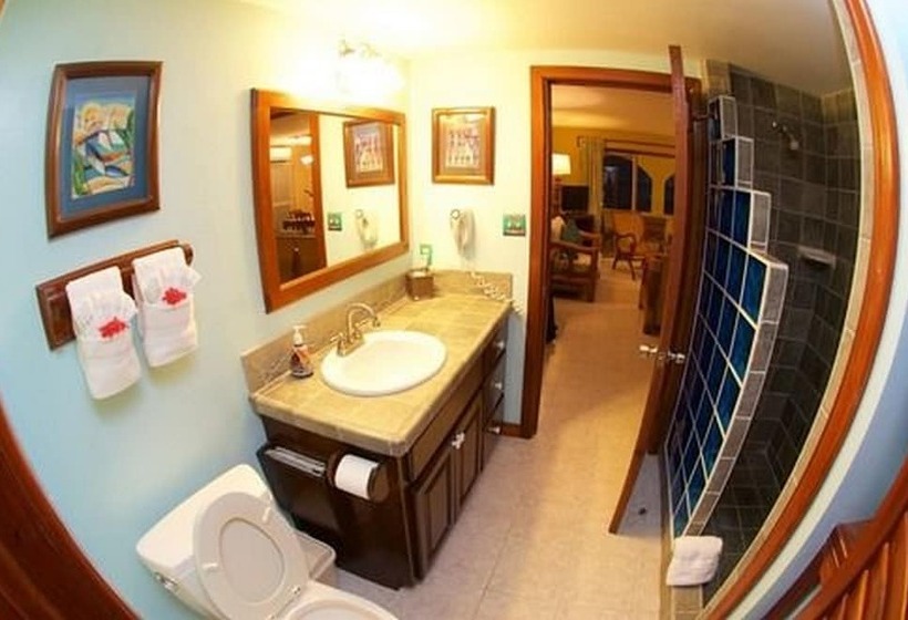 בית מלון כפרי The Palms Oceanfront Suites