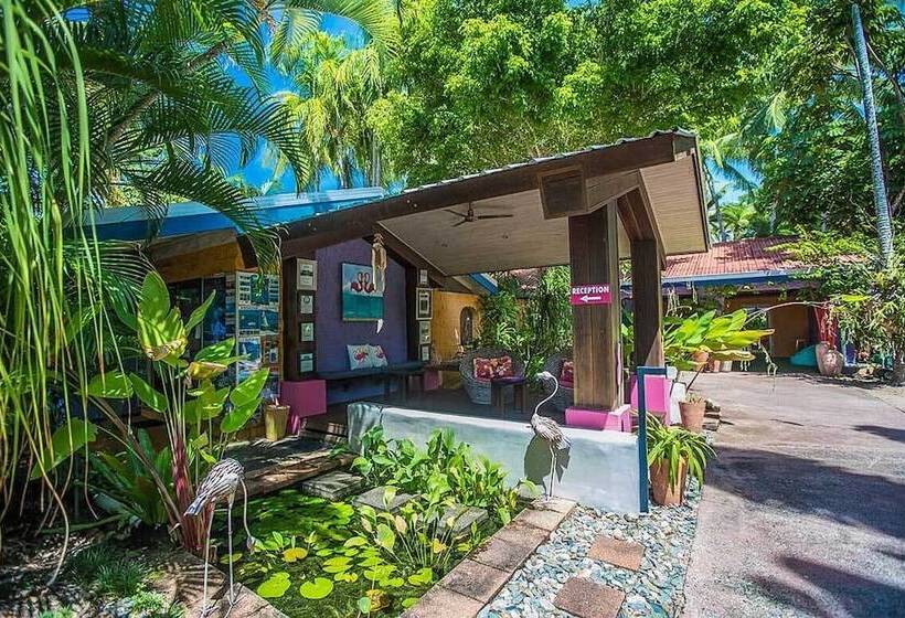 Pink Flamingo Resort