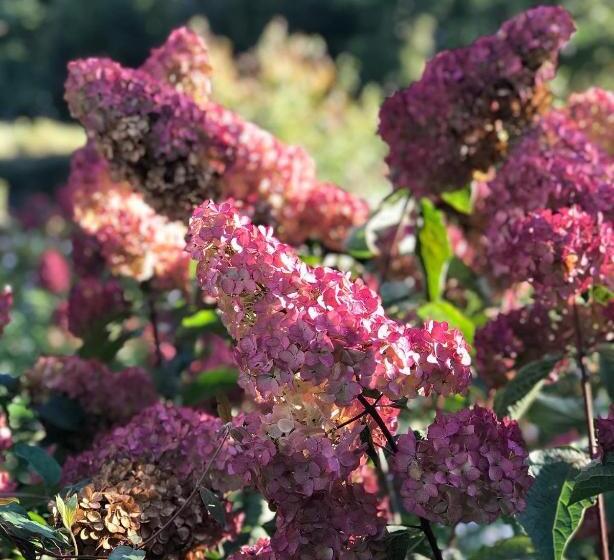 B&b De Charme à 10 Minutes De Vannes