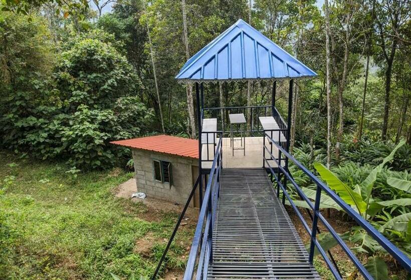 Bed and Breakfast Misty Valley Hospitality,munnar