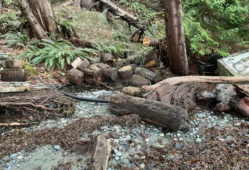 膳宿费 Beauty Oceanside Property In North Nanaimo