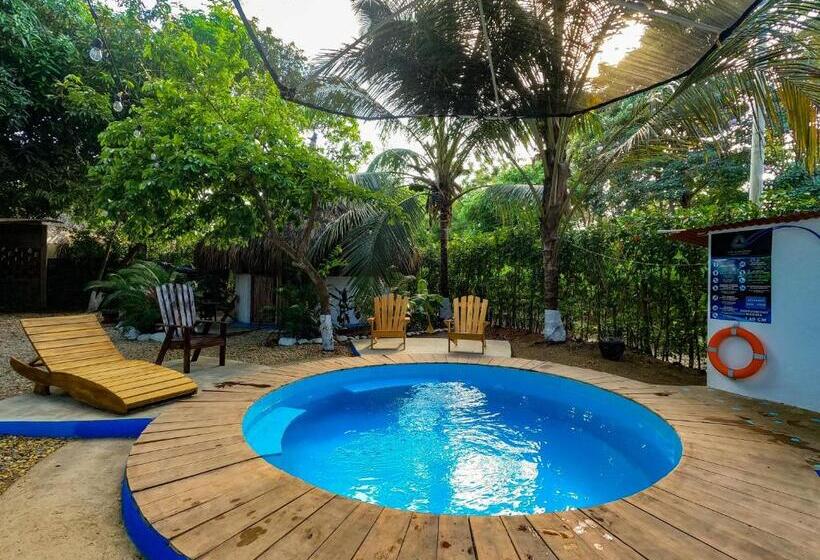 پانسیون Los Almendros Palomino Hostel