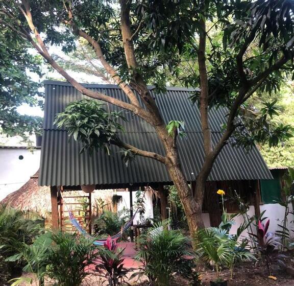 پانسیون Los Almendros Palomino Hostel