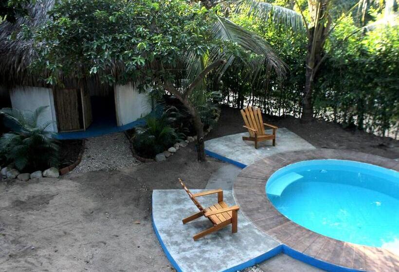 پانسیون Los Almendros Palomino Hostel