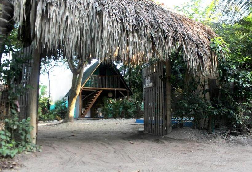 پانسیون Los Almendros Palomino Hostel