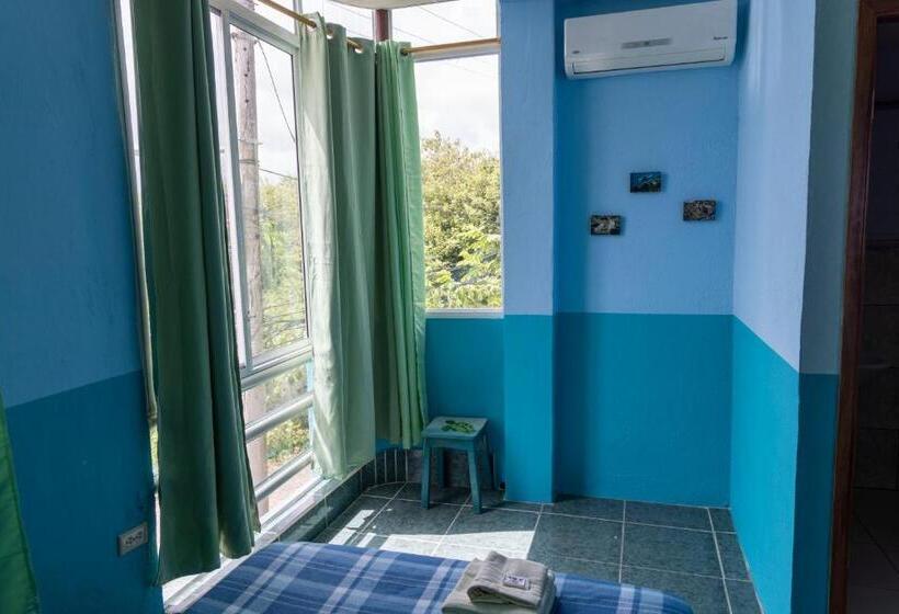 پانسیون Mango Tree