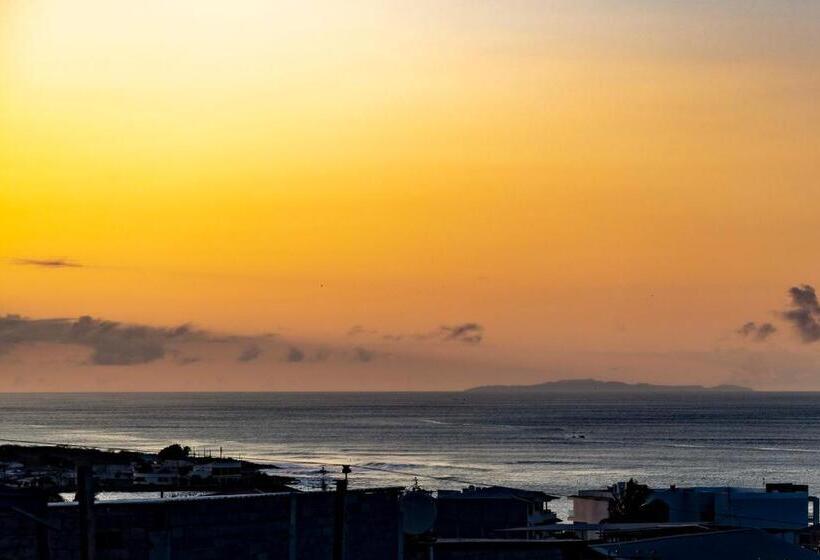 پانسیون Mango Tree