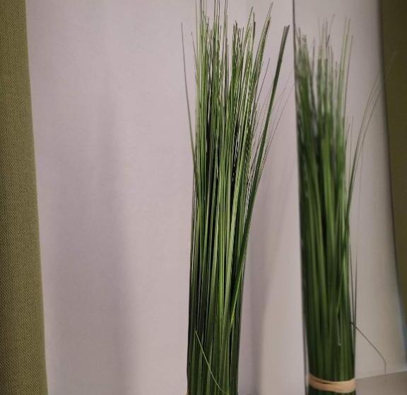 Room In Guest Room  Pension Forelle  Double Room No01