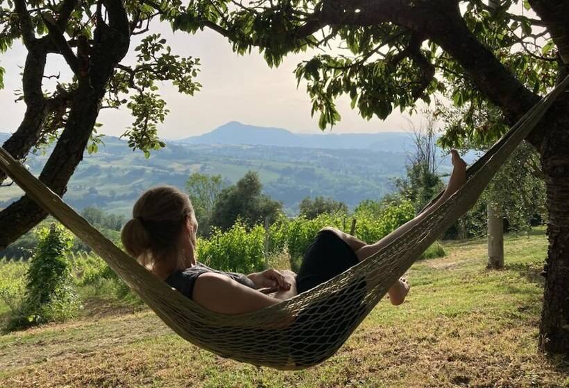 Villa Verdicchio   B&b With Wellness For Winelovers