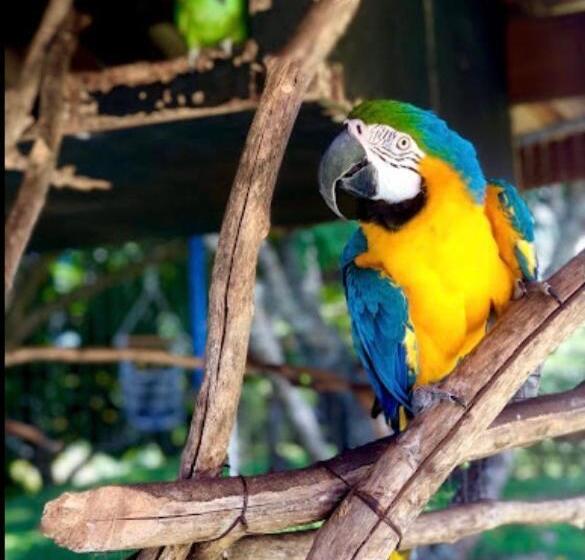 ユースホステル Pousada Recanto São Jorge