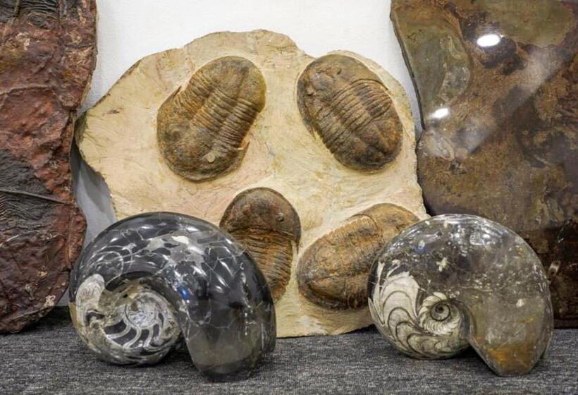 هاستل Yakout Merzouga Luxury Camp