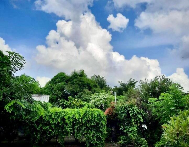 Bed and Breakfast มิสเตอร์ที โฮมสเตย์ มะเหมี่ยว