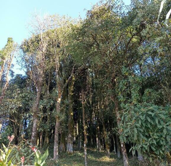 酒店 Phube Homestay