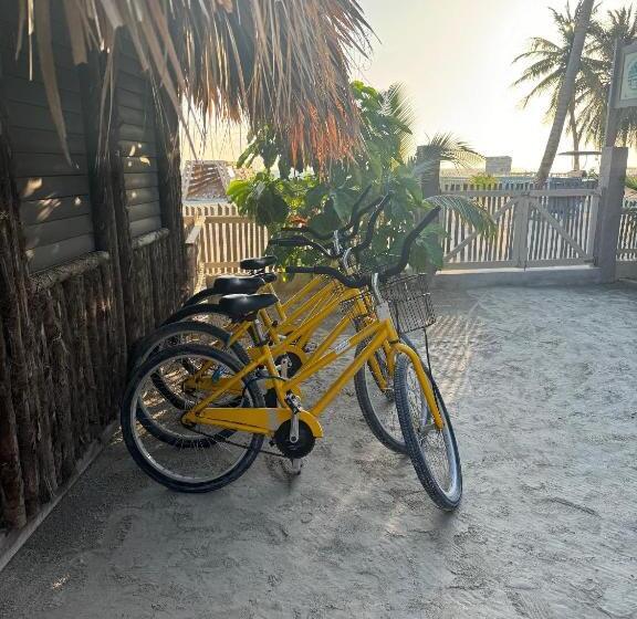 בית מלון כפרי The Bounty