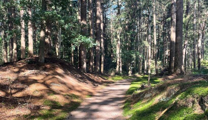 צימר Appelscha Aan De Diek