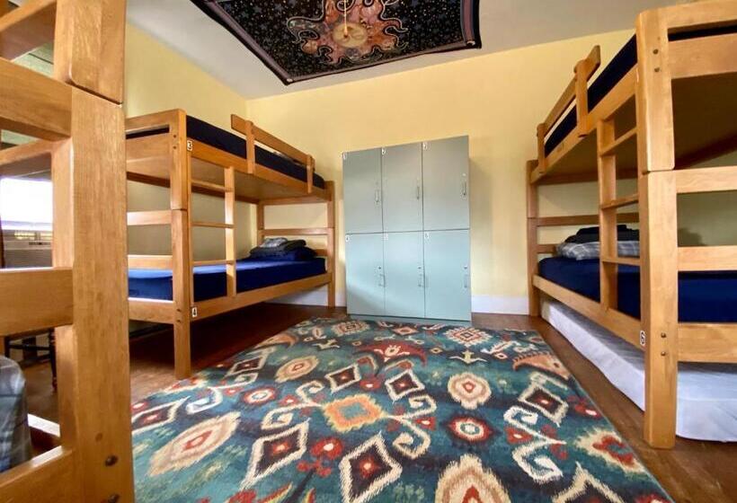 Coho: Conway Hostel