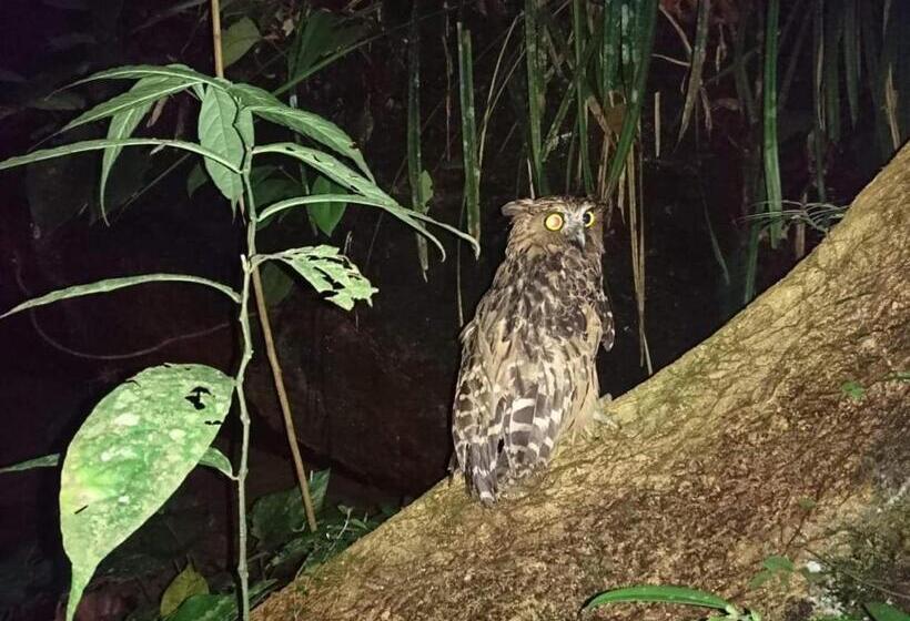 پانسیون Bukit Lawang Adventum