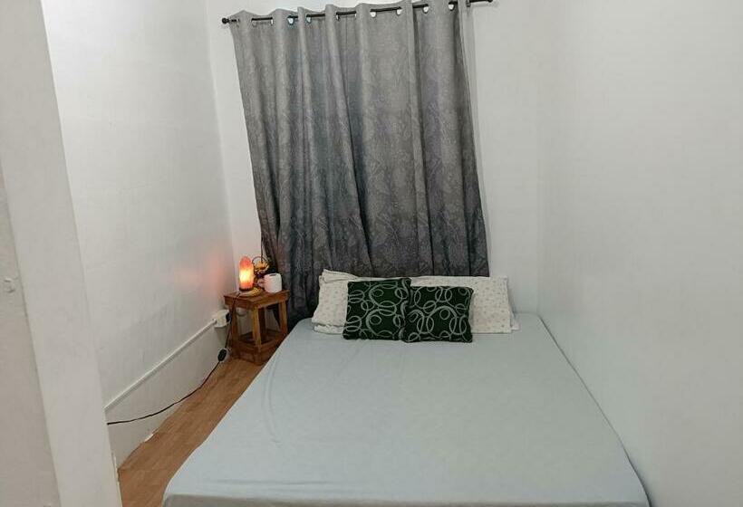 住宿加早餐  Amigas Lodge