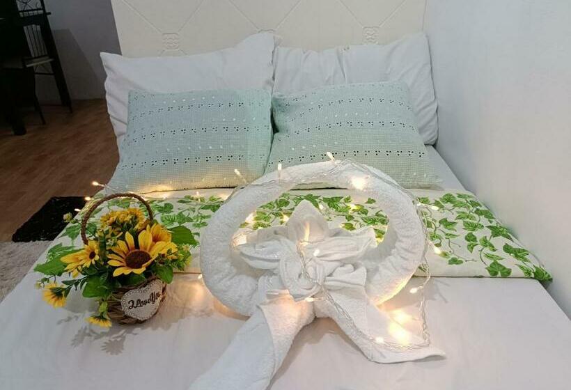 住宿加早餐  Amigas Lodge