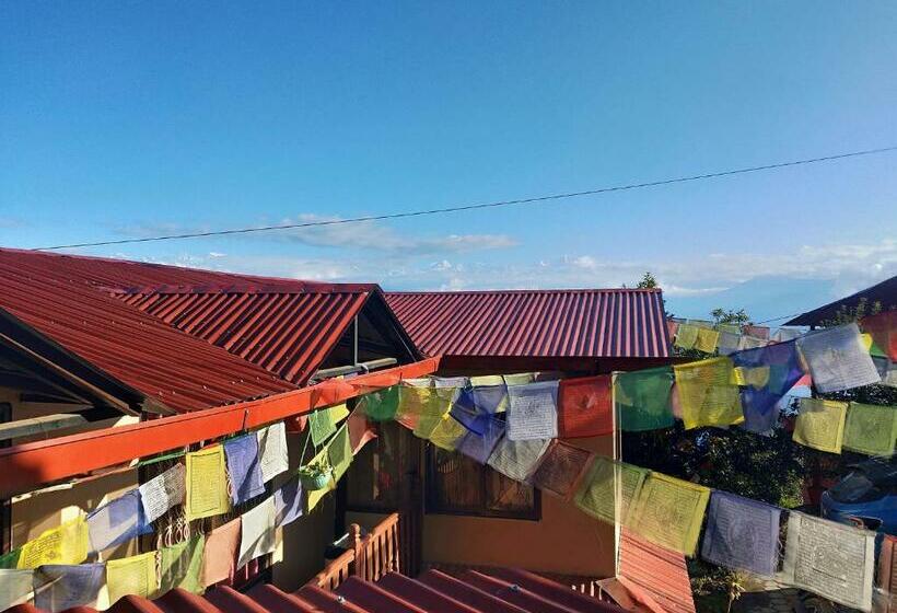Hotel Gombo Hideaway