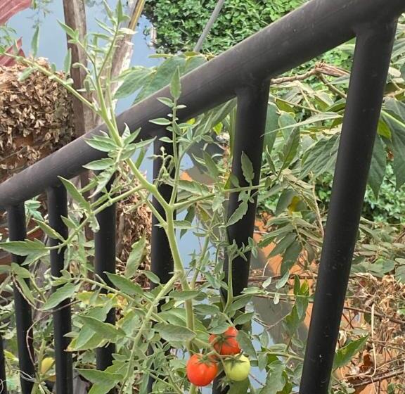 پانسیون Moonshine Guesthouse