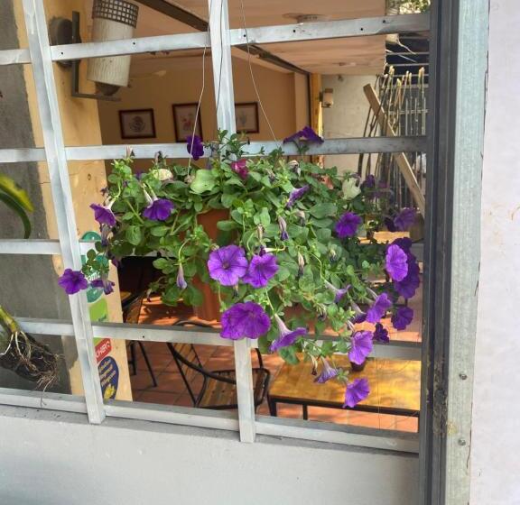 پانسیون Moonshine Guesthouse