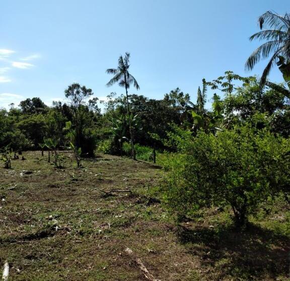 ペンション Pedacinho Do Paraiso