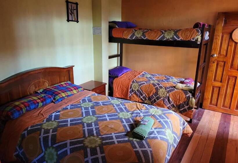 فندق صغير La Minga Hostal