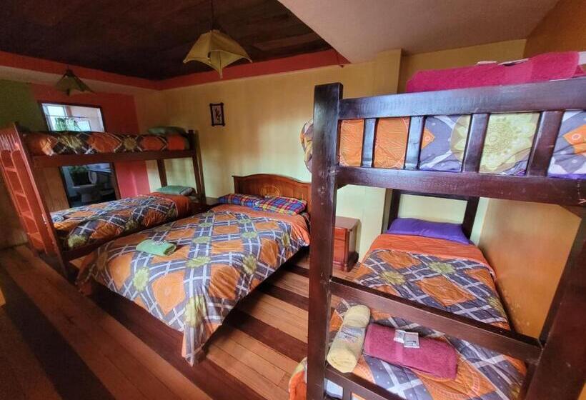 فندق صغير La Minga Hostal