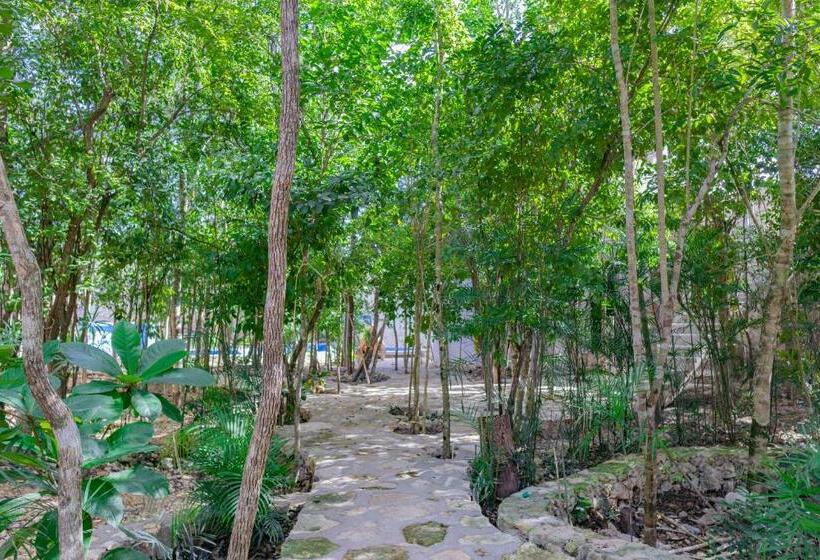 فندق Chaca Tulum