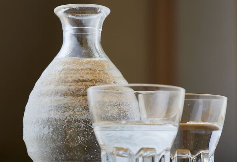 בית מלון כפרי Vischio Toyama