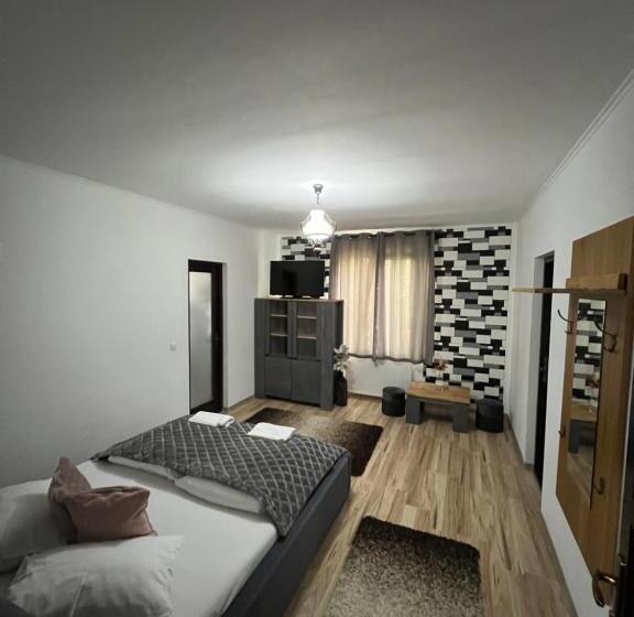 تختخواب و صبحانه Guesthouse Viktoria Pensiune