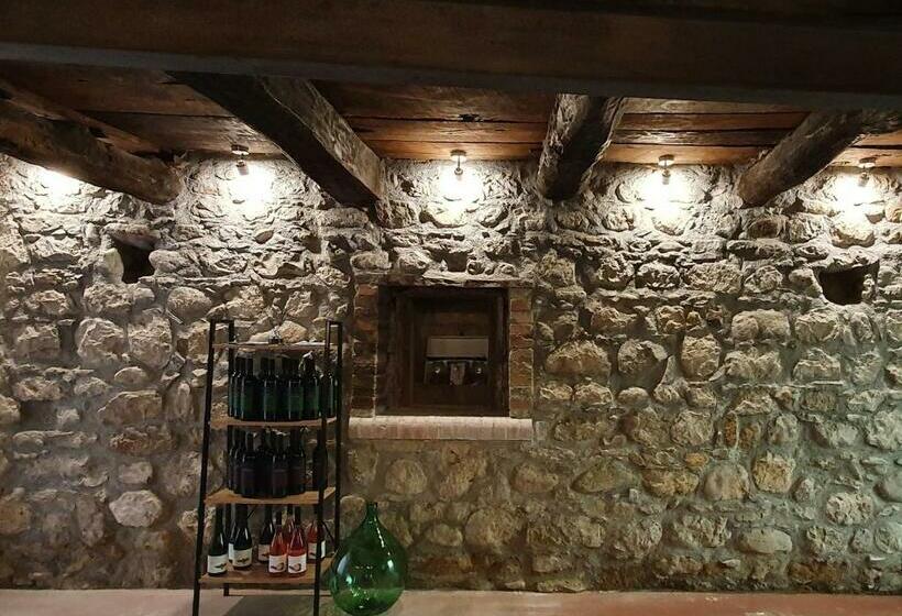 住宿加早餐  Vinea Del Selvatico Cascina Agricola
