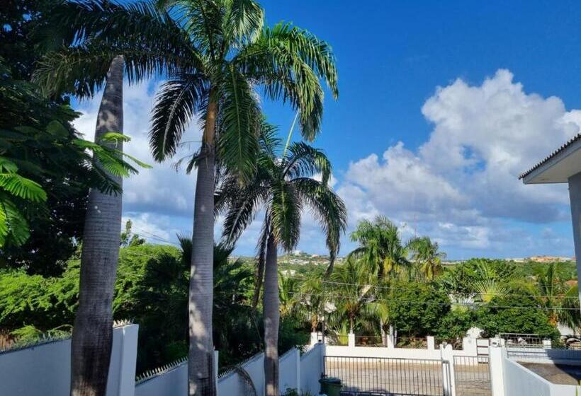 پانسیون Studio Apartment Volterra Curacao