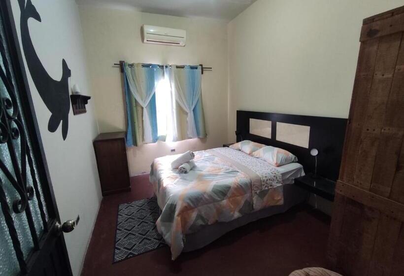 پانسیون Sunset Hostel   Centro