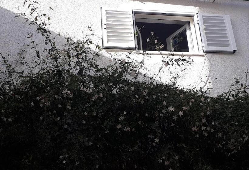 پانسیون The Jasmine House