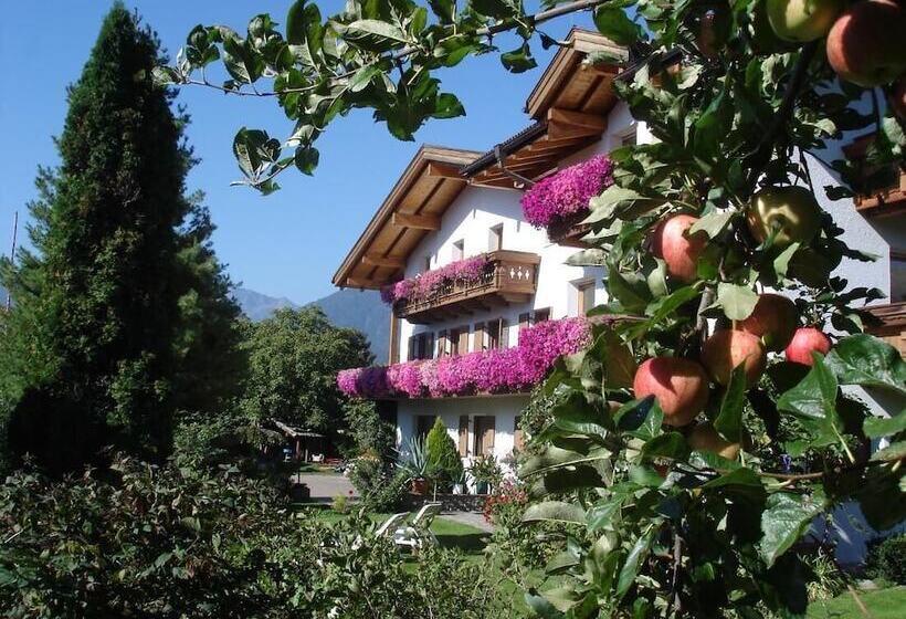 Bed and Breakfast Beautiful Residence Klementhof With Garden And A Seasonal Outdoor Pool