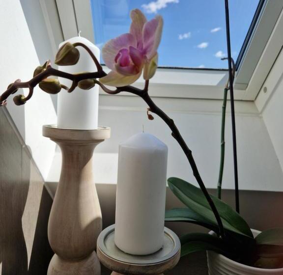 مبيت وإفطار Hillvine