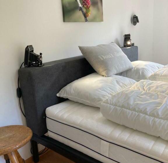 ベッドアンドブレックファースト Paclera79