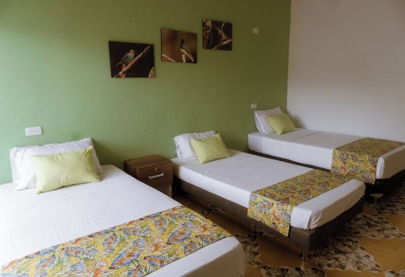 هتل Tuki Hostel & Lounge