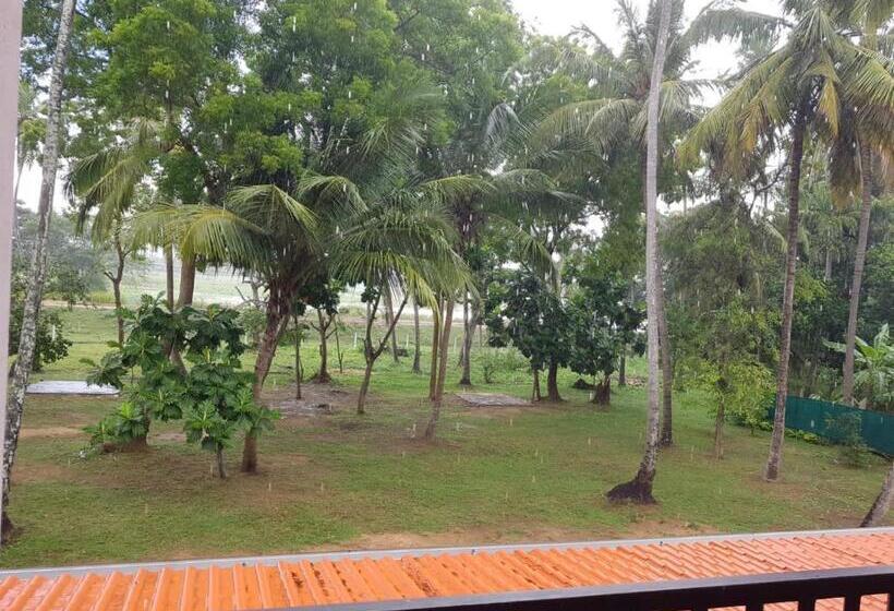 בית מלון כפרי Yala Viewer Bird Resort And Safari