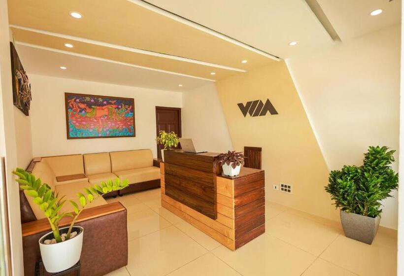 The Windy Mist Resort Munnar