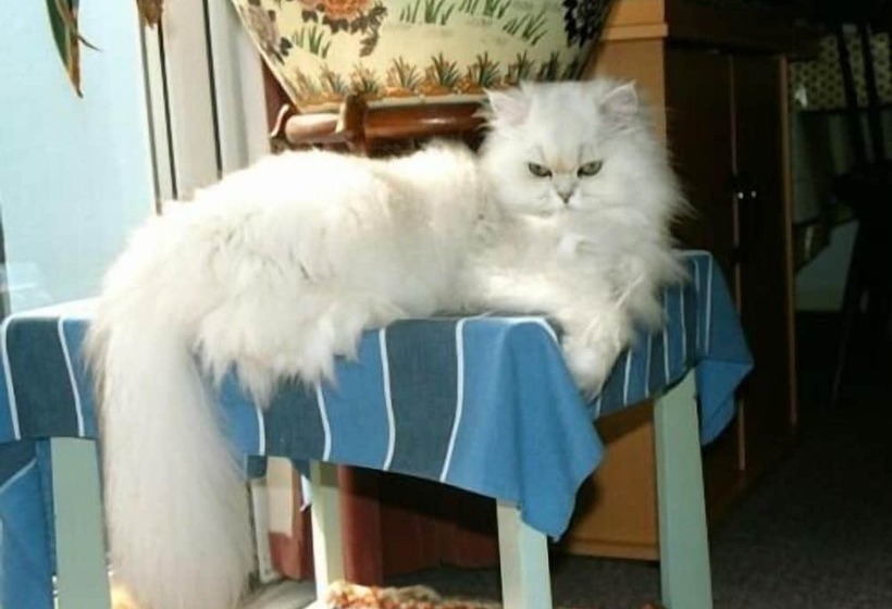 مبيت وإفطار Grand Hastings