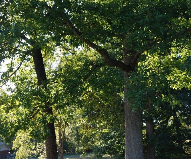 住宿加早餐  Inn At Westwood Farm