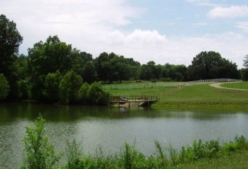 مبيت وإفطار Meadow View Farm
