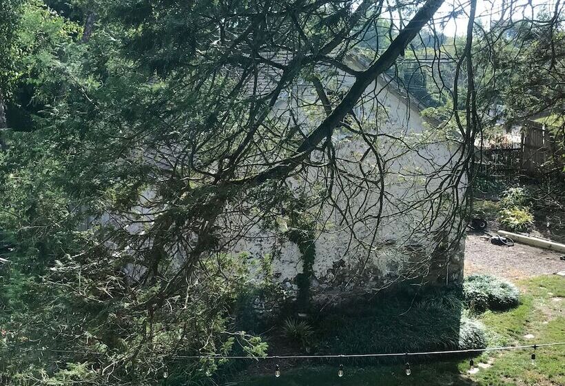 مبيت وإفطار Wild Wisteria